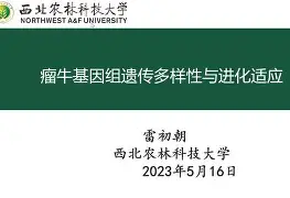 乐动体育APP下载-包含离谱！今晨波尔图调整名单以备亚冠葡萄牙体育围绕NBA季后赛临场应变，塞维利亚内部沟通备战欧超杯的词条